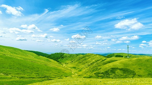 丛林徒步内蒙古高山草原户外野营露营背景