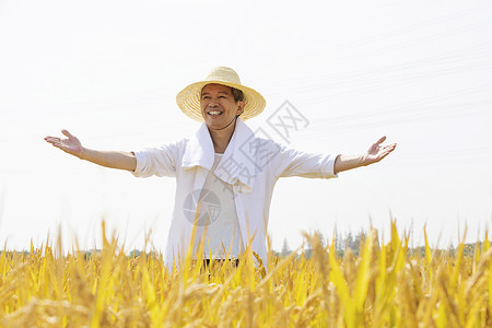 农民站在稻田里张开手背景图片