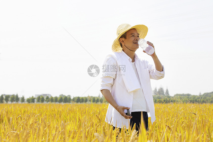 耕作中途休息喝水的农民图片