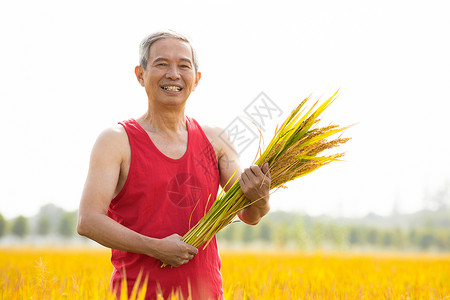 开心的抱着稻子的农民图片