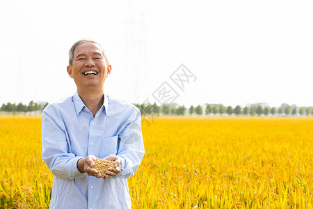 丰收农民大笑站在稻田里手捧稻米图片