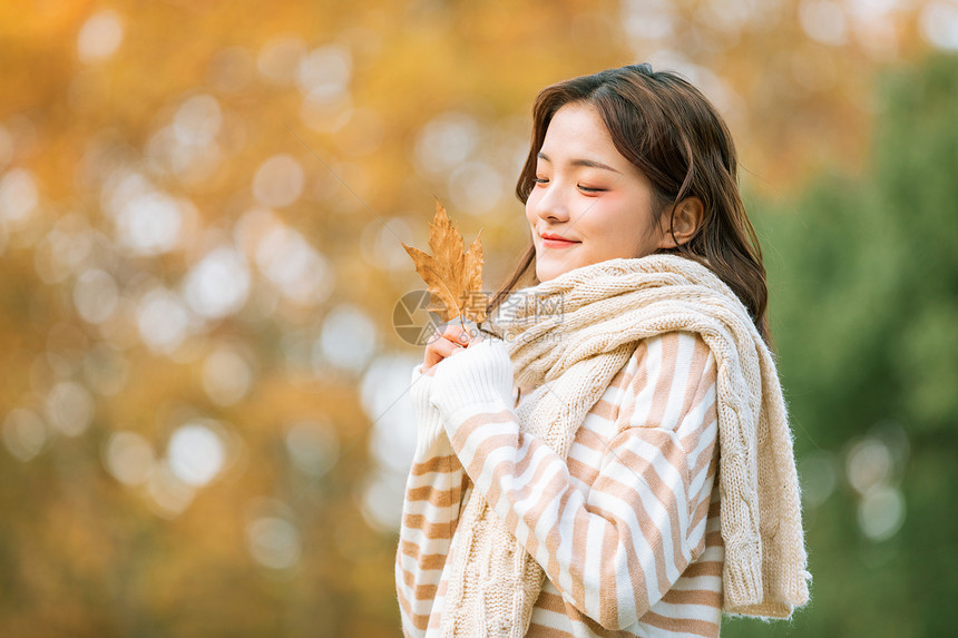 秋季可爱女孩手拿枫叶的图片