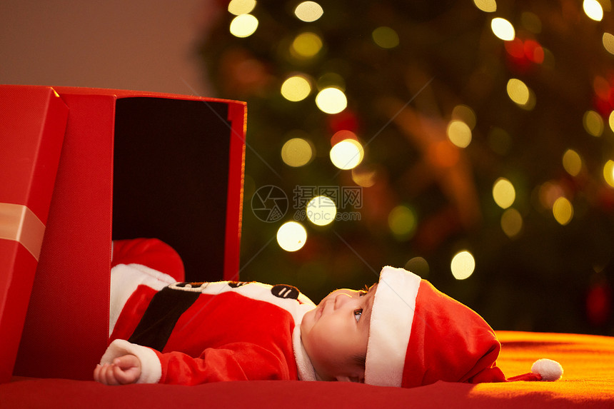 躺在礼物盒里的圣诞宝宝图片