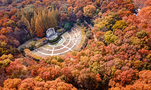 植物环绕秋冬南京中山陵音乐台背景