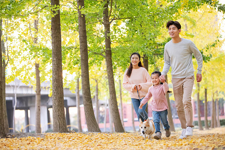 狗与家人一家三口在树林里奔跑背景