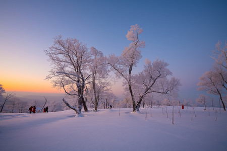 日落雪景吉林亚龙湾群景区冬天雾凇树挂风景背景