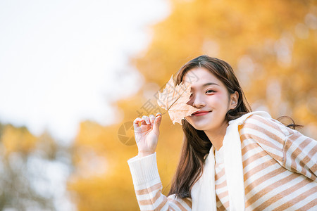 秋分可爱刺猬手拿树叶的秋季可爱女孩背景