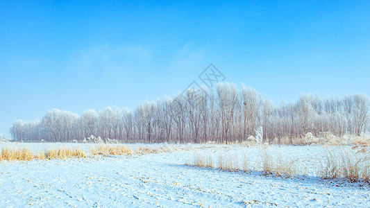 立冬ps素材内蒙古冬季山村雪景背景