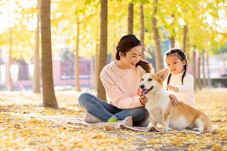 母女两人带着宠物在公园里玩耍图片素材