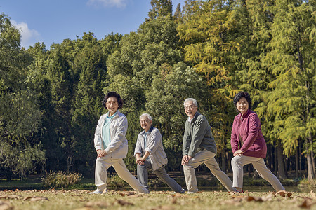 老年人组团公园里运动拉伸人物高清图片素材
