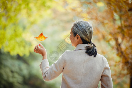 无烟生活健康中国老奶奶逛公园看秋季落叶背影背景