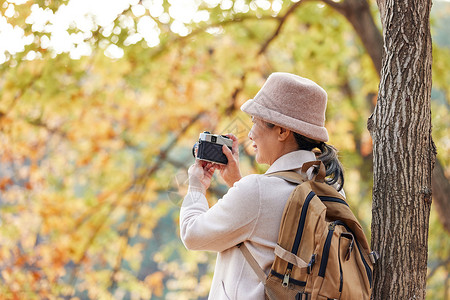 安逸老人逛公园拿相机拍摄秋季风景高清图片