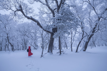 吉林亚龙湾景区冬天树挂风景冰雪天地高清图片素材