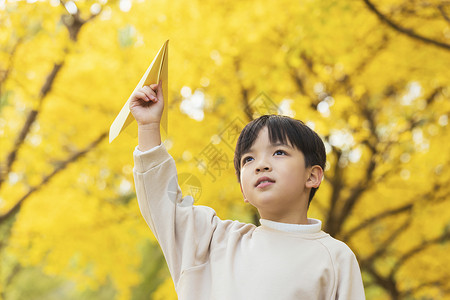 秋季小男孩银杏树下扔纸飞机高清图片