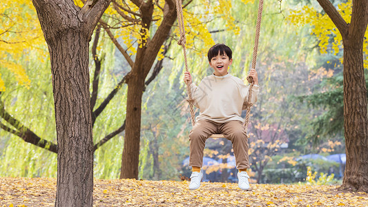 秋色银杏树下小男孩欢乐荡秋千高清图片