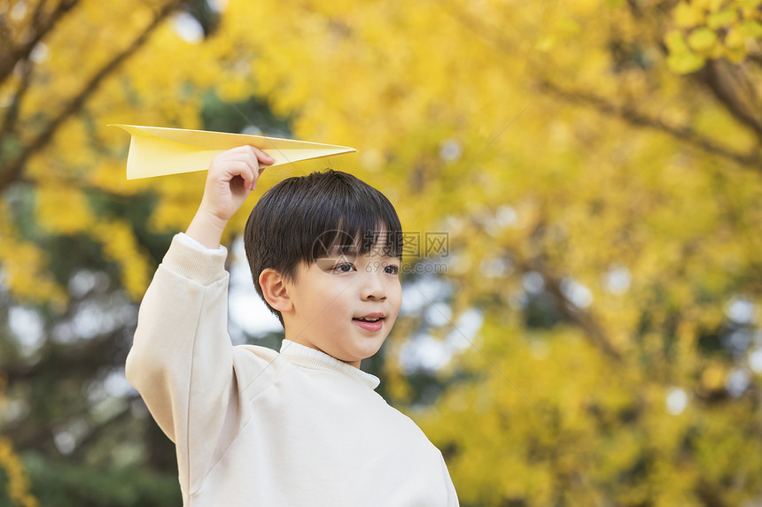 秋季小男孩银杏树下扔纸飞机图片