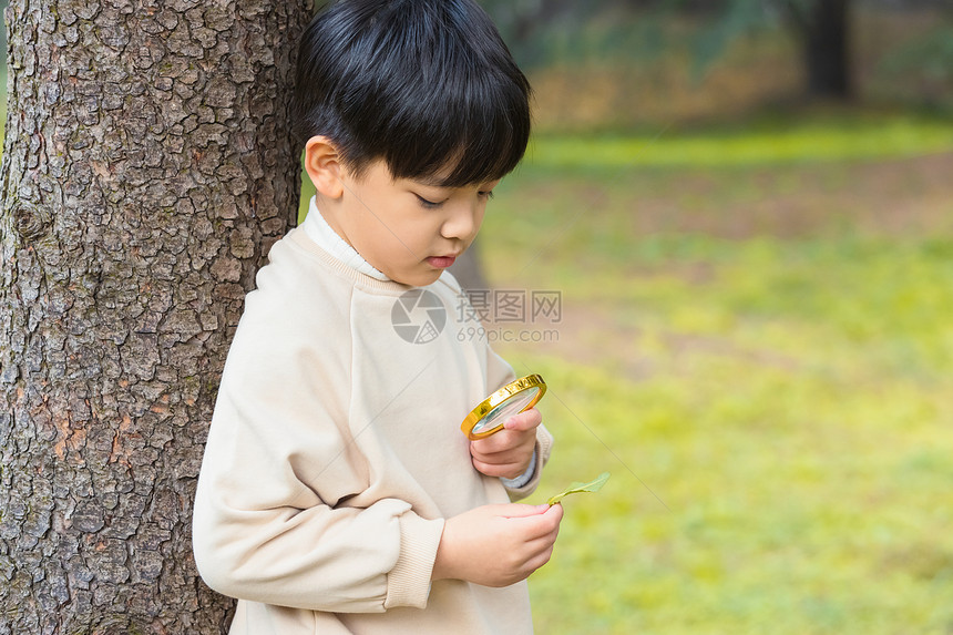 秋季小男孩公园里拿放大镜观察植物图片