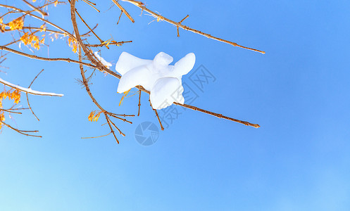 内蒙古冬季树枝冰雪背景图片