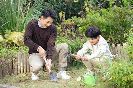 父子一起在花园里种花高清图片