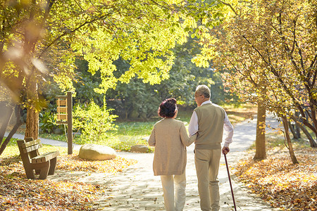 秋季老年夫妇公园散步背影图片素材