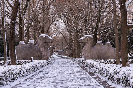 中国江苏南京明孝陵雪景图片