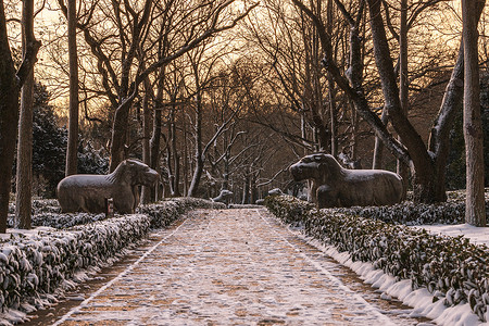 中国江苏南京明孝陵雪景图片