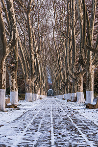 中国江苏南京明孝陵雪景图片