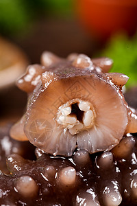肉质洁白的深海鲜活辽刺参餐饮高清图片素材