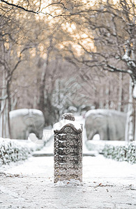 世界文化遗产明孝陵石像路神道冬天的雪景高清图片