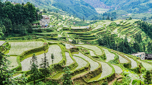 乡野春耕的梯田3背景