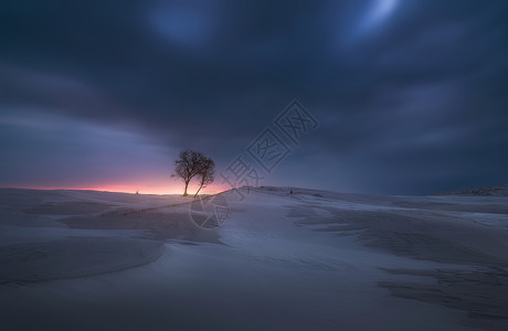 冬季节气新疆伊犁冬季雪景背景