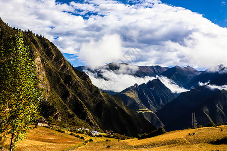 阿拉比卡高原措卡湖背景