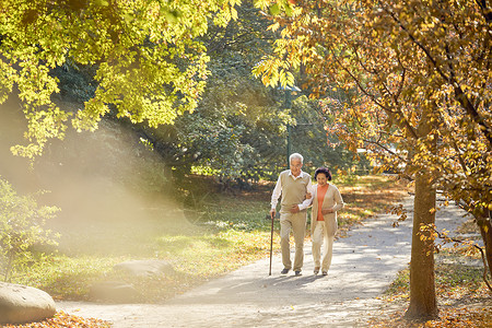 老年夫妇早晨公园散步老年生活高清图片素材