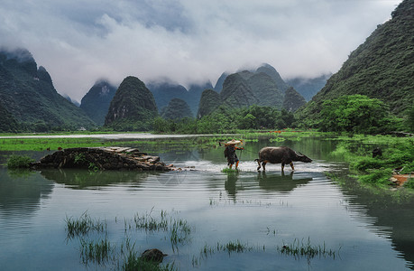 中状元归田背景