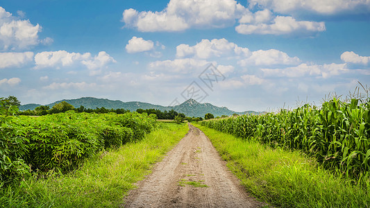 泰国田野农田乡村郊外道路图片
