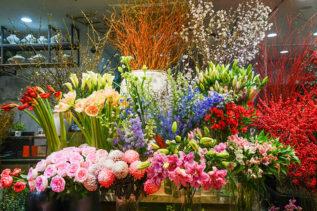花店里的鲜花和植物背景图片