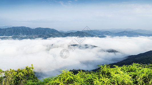 泰国南部山林山顶云海背景图片