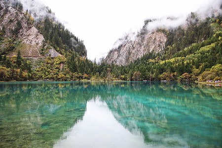 九寨沟美景九寨沟五花海景区背景