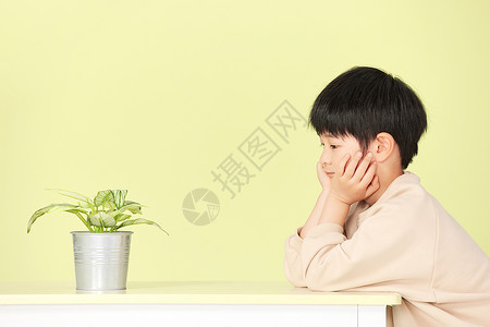 面对植物沉思的小男孩图片