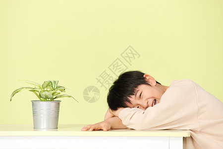 地球上绿植趴在桌子上笑得很开心的小男孩背景