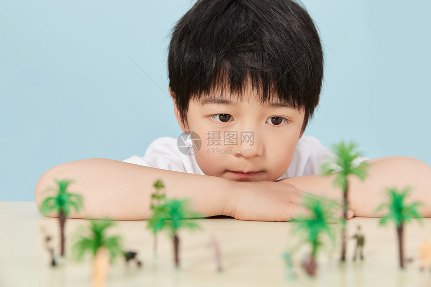 观察植物模型的小男孩图片