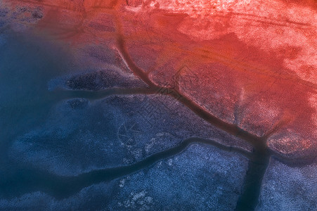 沼泽地黄海湿地生态地貌背景