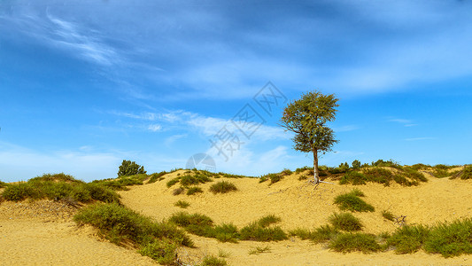 内蒙古库布其沙漠春季景观背景