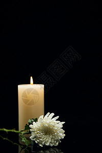 菊花悼念祈福燃烧的蜡烛背景