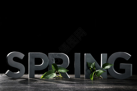 春季招聘字体阳光照在spring的字体上背景
