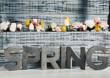 spring 和满是鲜花背景板背景图片