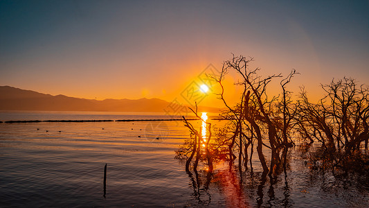 拍摄于云南大理洱海清晨日出背景图片