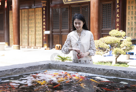 美女与锦鲤美女大学生逛寺庙喂食金鱼背景