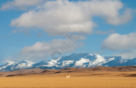 雪山沙漠新疆帕米尔高原背景
