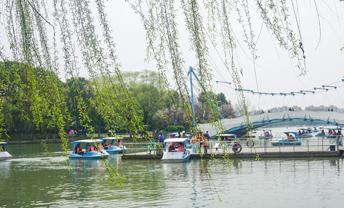 户外游湖踏青春游背景图片